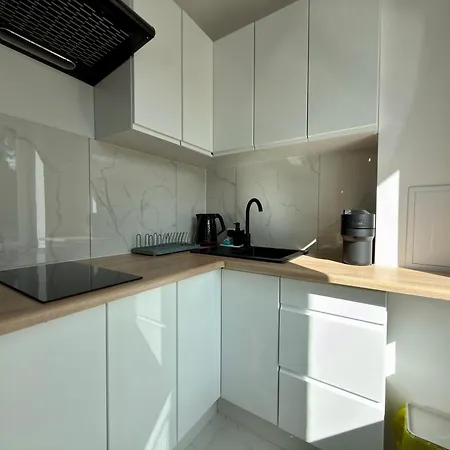 Apartment Olesnicka Deluxe By Bookinghost *